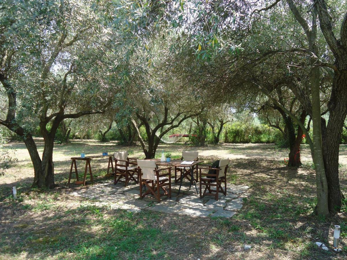 Elaionas Villa Ierissos Exterior photo